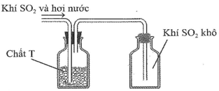 Sau khi điều chế khí SO2 có lẫn hơi nưởc được dẫn qua bình làm khô chứa các hạt chất rắn T 