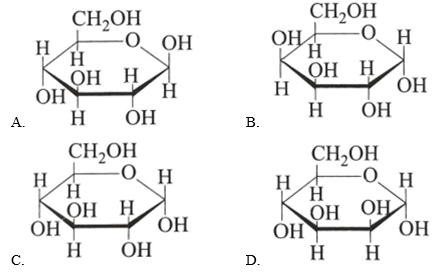 Công thức nào dưới đây phù hợp với công thức cấu tạo của β-glucose