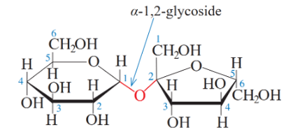 Khi tồn tại ở dạng mạch vòng, các carbohydrate có vị ngọt và có nhóm −OH hemiacetal