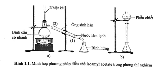 Quan sát hình sau. Cho các phát biểu liên quan tới Hình 1.1 như sau