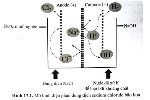 Trong thực tế trong quá trình điện phân dung dịch sodium chloride bão hòa