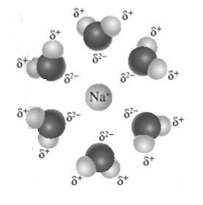 Khi hoà tan hỗn hợp gồm muối cobalt(III) chloride và sodium chloride vào nước