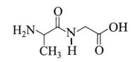 Cho peptide X có công thức cấu tạo sau trang 24 Sách bài tập Hóa học 12