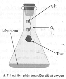 Khi thực hiện thí nghiệm về phản ứng giữa sắt và oxygen, người ta thường cho một ít nước