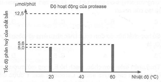 Enzyme là một thành phần thiết yếu của các chất giặt rửa cao cấp và việc sử dụng chúng mang lại cho người