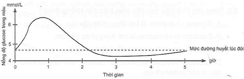 Khi sử dụng đồ uống có đường, nồng độ glucose trong máu tăng cao nhất sau khi