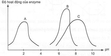 Biểu đồ sau thể hiện độ hoạt động của các enzyme A, B, C xúc tác