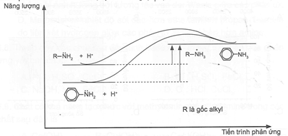 Giản đồ năng lượng của 2 amine khi proton hoá như hình dưới. Dựa vào giản đồ