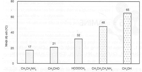 Các amine CH3NH2, CH3NHCH3, CH3CH2NH2, NH2CH2NH2 tan nhiều trong nước. Nguyên nhân là do các amine này