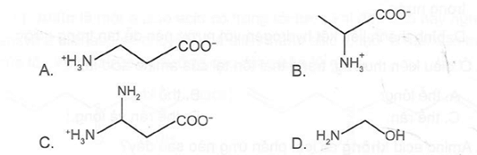 Cơ thể người mã hoá được loại amino acid nào sau đây trong tổng hợp protein