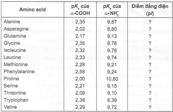 Đối với các amino acid có chuỗi bên trung tính, pl có thể được tính bằng cách lấy trung bình