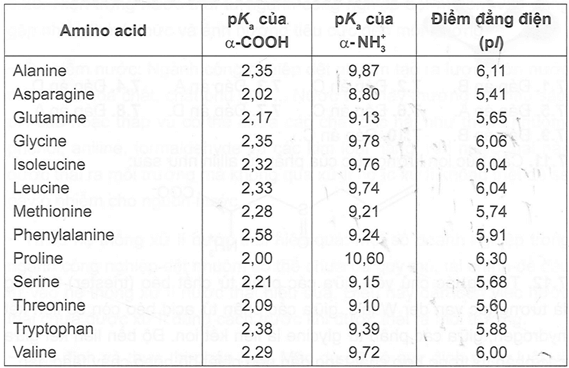 Đối với các amino acid có chuỗi bên trung tính, pl có thể được tính bằng cách lấy trung bình