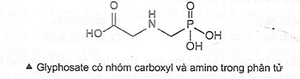 Thuốc diệt cỏ glyphosate được sử dụng cho những cánh đồng bỏ hoang, các loại cây trồng