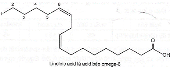 Acid béo là thành phần quan trọng của một chế độ ăn uống lành mạnh