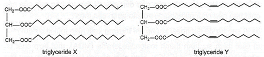 Cho các triglyceride X, Y với công thức cấu tạo trang 24 SBT Hoá học 12