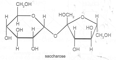 Giải thích vì sao các phân tử glucose, fructose và maltose đều có thể mở vòng