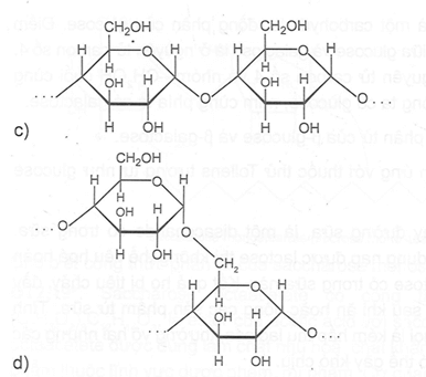 Cho biết tên của loại liên kết giữa 2 đơn vị monosaccharide đã nêu trong các chuỗi