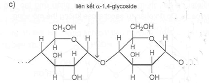 Cho biết tên của loại liên kết giữa 2 đơn vị monosaccharide đã nêu trong các chuỗi