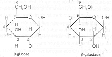 Galactose là một carbohydrate, đồng phân của glucose. Điểm khác biệt là cấu tạo giữa glucose