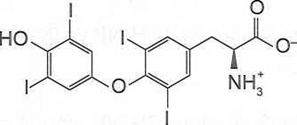 Thyroxine là loại hormone được tiết ra từ tuyến giáp, tuyến nội tiết lớn nhất trong cơ thể