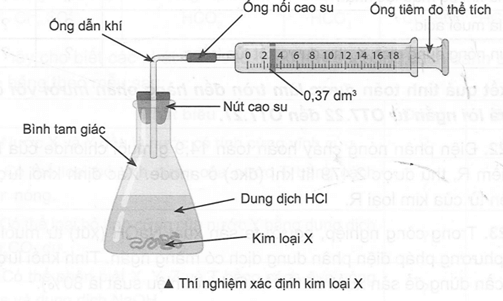 Để xác định kim loại X thuộc nhóm IIA trong lọ bị mất nhãn, một bạn học sinh