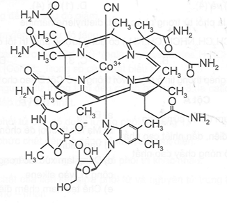 Vitamin B12 có công thức cấu tạo được mô tả như hình dưới trang 138 Sách bài tập Hóa học 12