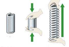 Sách bài tập Khoa học tự nhiên lớp 6 Bài 30: Các dạng năng lượng | Cánh diều Giải SBT Khoa học tự nhiên 6