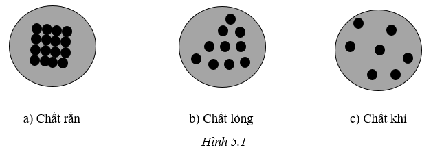 Sách bài tập Khoa học tự nhiên lớp 6 Bài 5: Sự đa dạng của chất | Cánh diều Giải SBT Khoa học tự nhiên 6