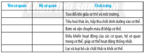 Bài 20: Các cấp độ tổ chức trong cơ thể đa bào