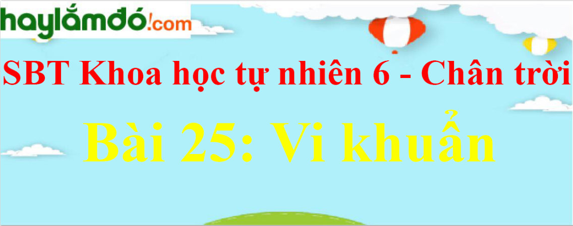 Giải sách bài tập Khoa học tự nhiên lớp 6 Bài 25: Vi khuẩn