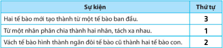 Bài 20. Sự lớn lên và sinh sản của tế bào