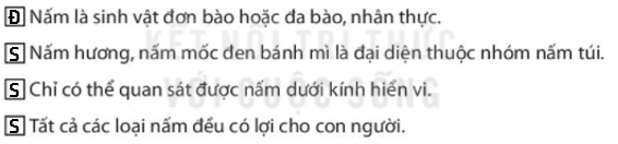 Bài 32. Nấm