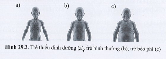 Giải SBT Khoa học tự nhiên 7 trang 63 Cánh diều