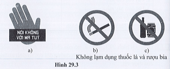 Hãy đọc và giải thích các logo trong hình 29.3. Từ đó, nêu ảnh hưởng của các chất