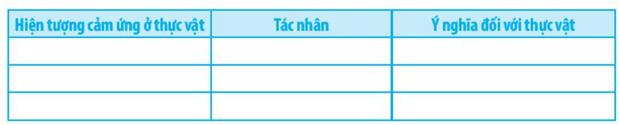 Hãy kể tên một số hiện tượng cảm ứng ở thực vật