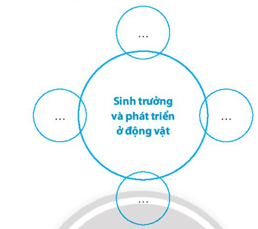 Hãy điền tên các nhân tố ảnh hưởng đến sinh trưởng và phát triển của động vật