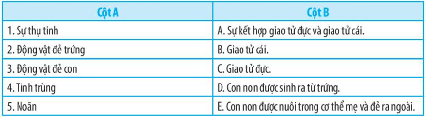 Nối nội dung ở cột A với định nghĩa ở cột B sao cho phù hợp