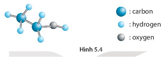 Hình 5.4 mô tả một phân tử chứa carbon, hydrogen và oxygen
