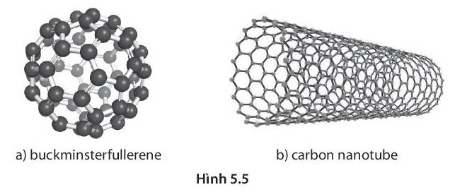 Hãy tìm hiểu và cho biết vì sao buckminsterfullerene và carbon nanotube đều là đơn chất carbon