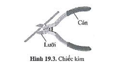 Ở chiếc kìm cắt dây thép (hình 19.3), mỗi nhánh kìm gồm cán 