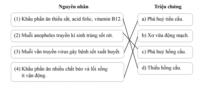 Nối mỗi nguyên nhân gây bệnh với triệu chứng bệnh tương ứng