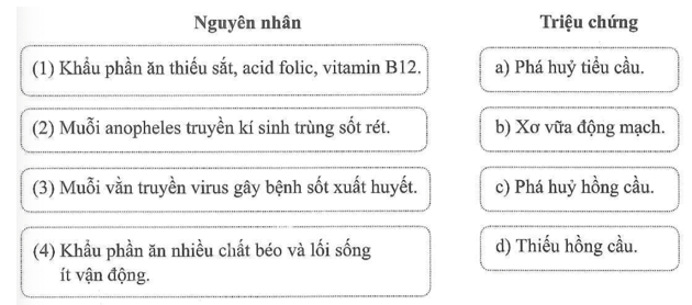 Nối mỗi nguyên nhân gây bệnh với triệu chứng bệnh tương ứng