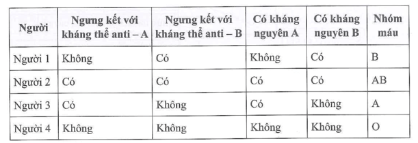 Kết quả xét nghiệm nhóm máu của 4 người khi cho vào giọt máu của mỗi người một lượng vừa đủ kháng thể