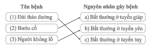 Nối tên mỗi bệnh nội tiết với nguyên nhân gây ra bệnh đó cho phù hợp