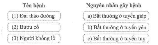 Nối tên mỗi bệnh nội tiết với nguyên nhân gây ra bệnh đó cho phù hợp