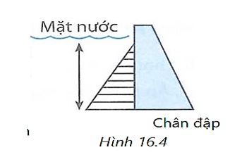 Hãy giải thích tại sao khi xây dựng các con đập người ta lại xây phần chân đập rộng hơn