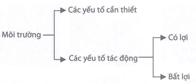 Quan sát Hình 41.2 dưới đây hãy nêu một vài ví dụ về các yếu tố cần thiết