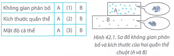 Hai quần thể chuột A và B sống ở hai ruộng lúa có diện tích khác nhau Hình 42.1