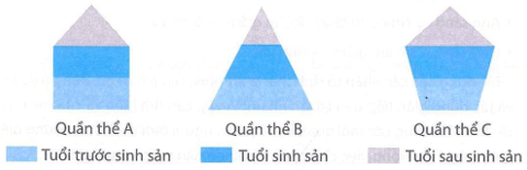 Căn cứ vào các số liệu trong Bảng 42.2 hãy xác định tên các kiểu hình tháp tuổi của ba quần thể