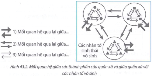 Trong quần xã sinh vật luôn có các mối quan hệ qua lại giữa các cá thể trong quần thể